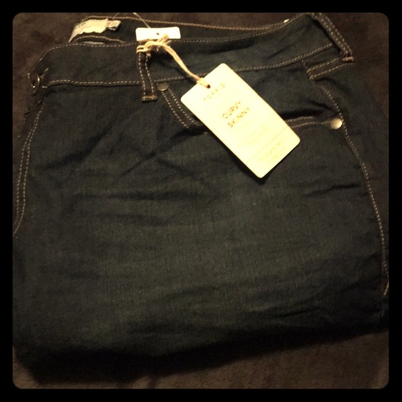 torrid Denim - Torrid Brand Curvy Skinny Jeans